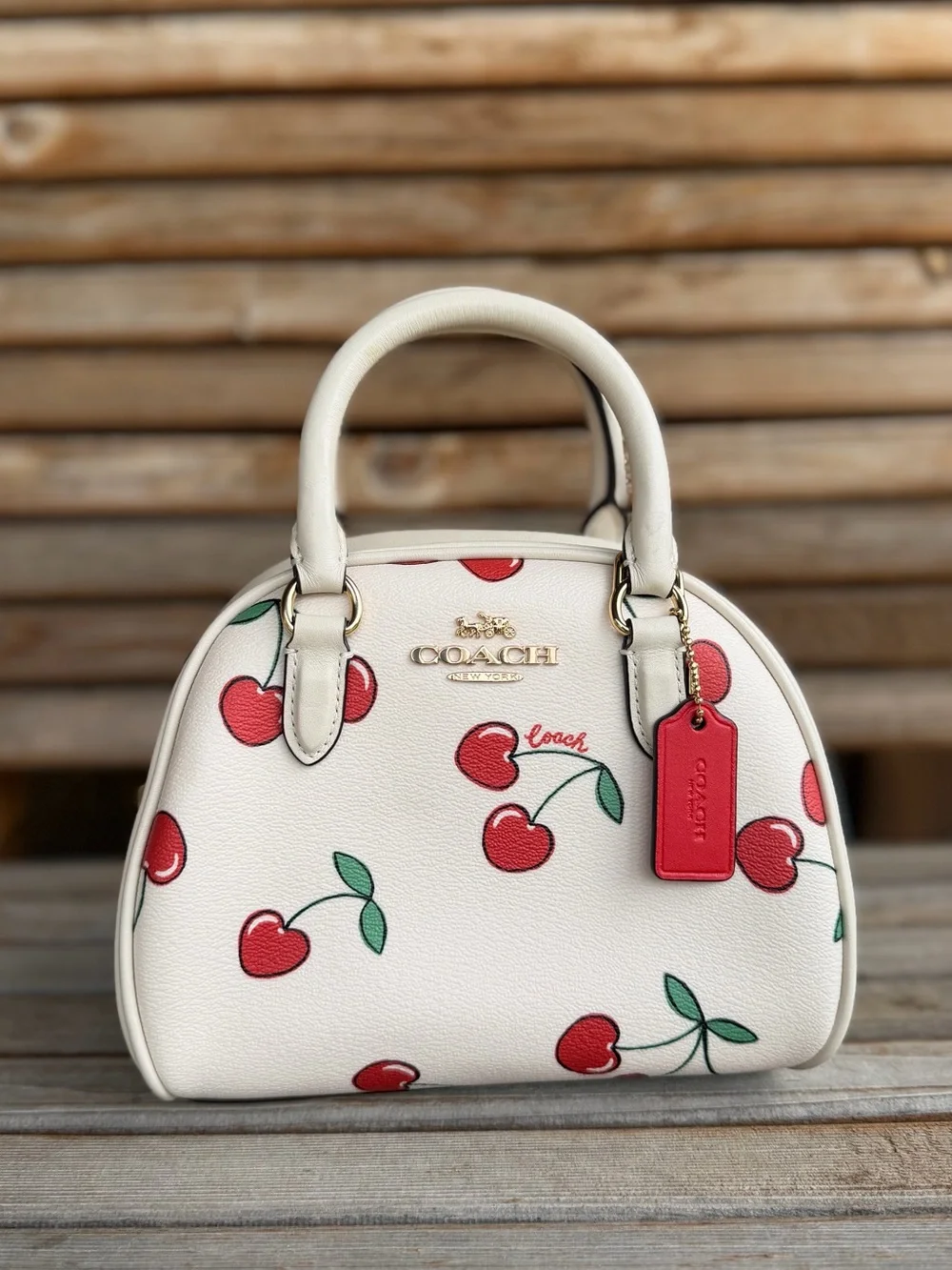 COACH SYDNEY SATCHEL WITH HEART CHERRY PRINT - Picture 1 of 6